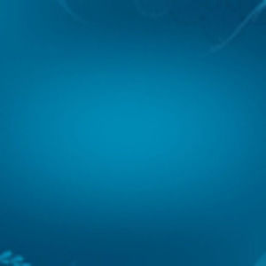 Meet your Posher, Terence